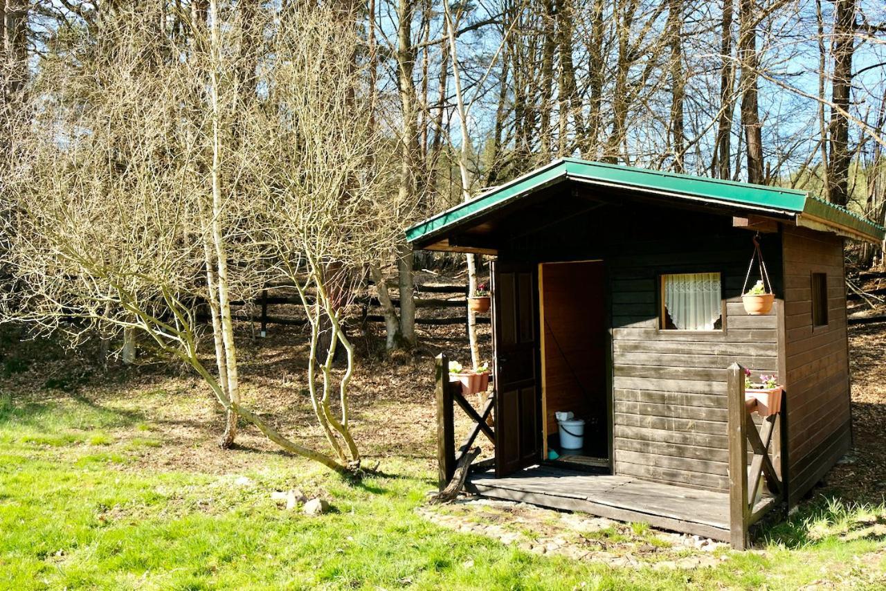 Agroturystyka Strzebielino Exterior photo
