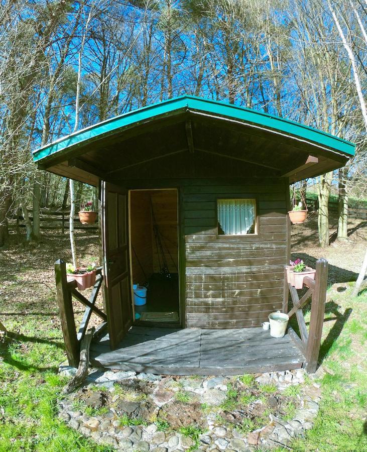 Agroturystyka Strzebielino Exterior photo